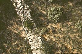 KAP-drach11.jpg: das erste Bild 
					von oben