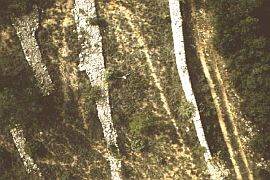 KAP-drach13.jpg: das Dorf